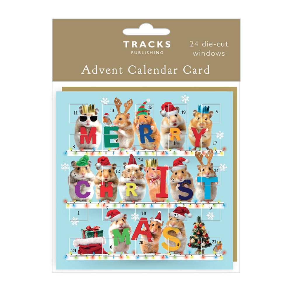 ACC022 Advent Calendar Card