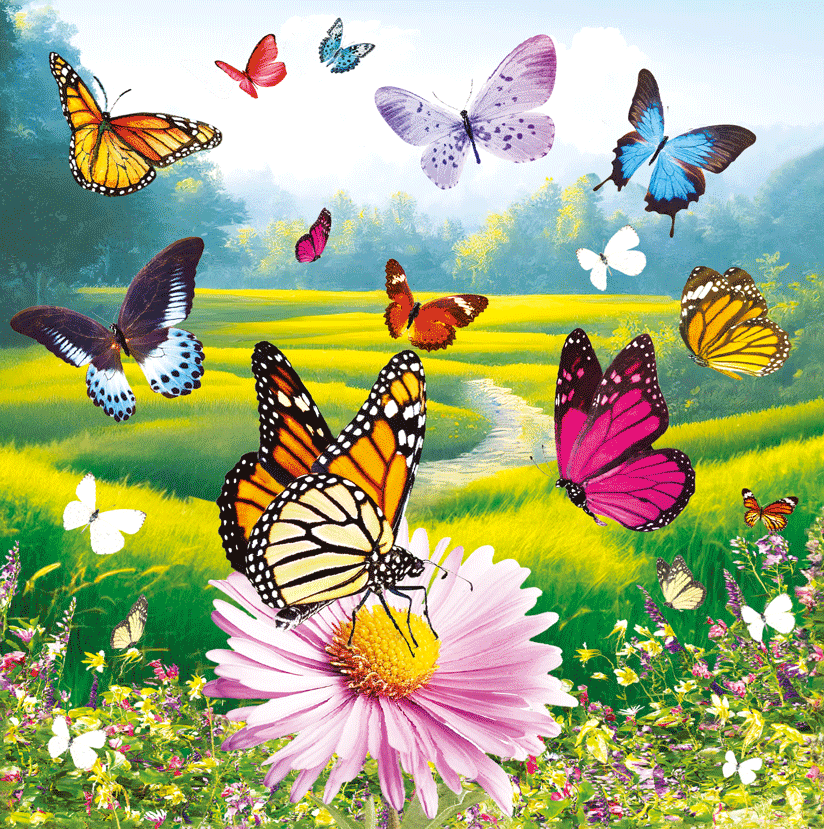 C3564 3D Card