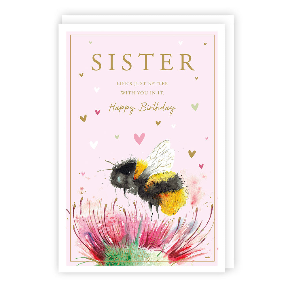 C3791 Sister