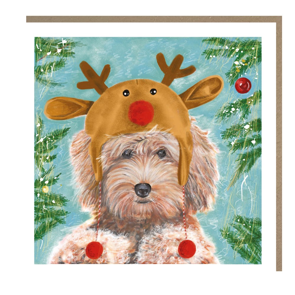 PHS001 Single Card