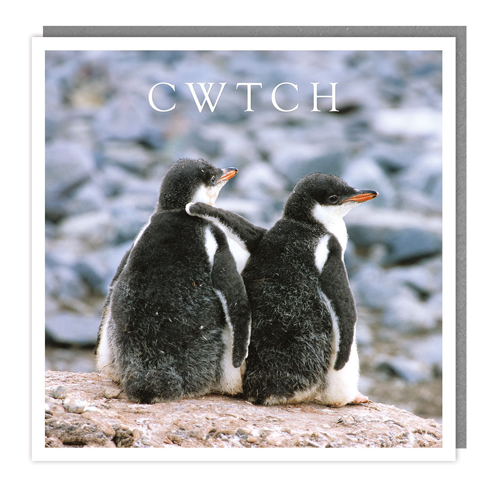 Wales471 Cwtch
