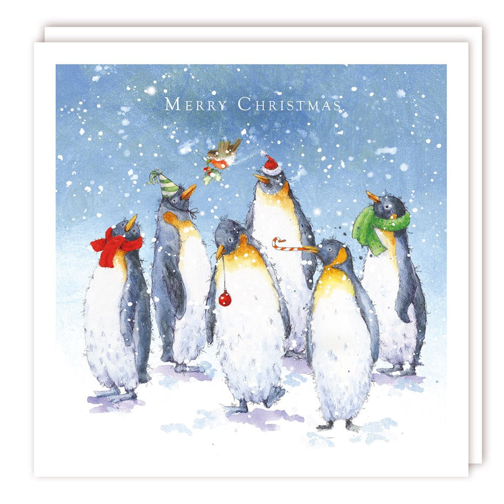 XBM015 Medium Charity Box - 1 Design