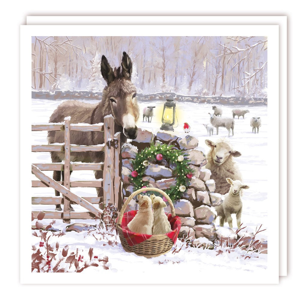 XBS035 Large Charity Box - 1 Design