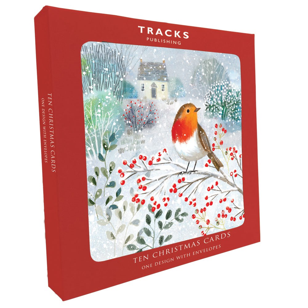 XBS048 Large Charity Box - 1 Design