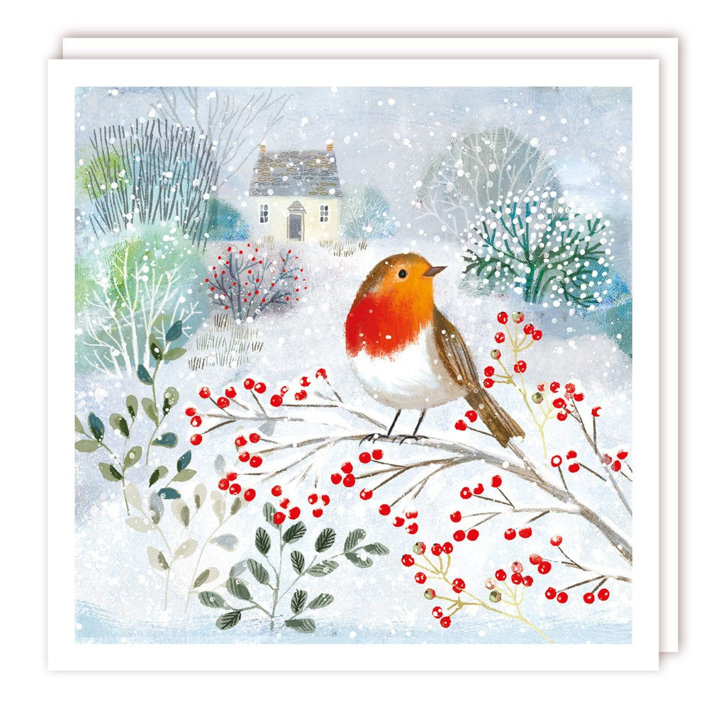 XBS048 Large Charity Box - 1 Design