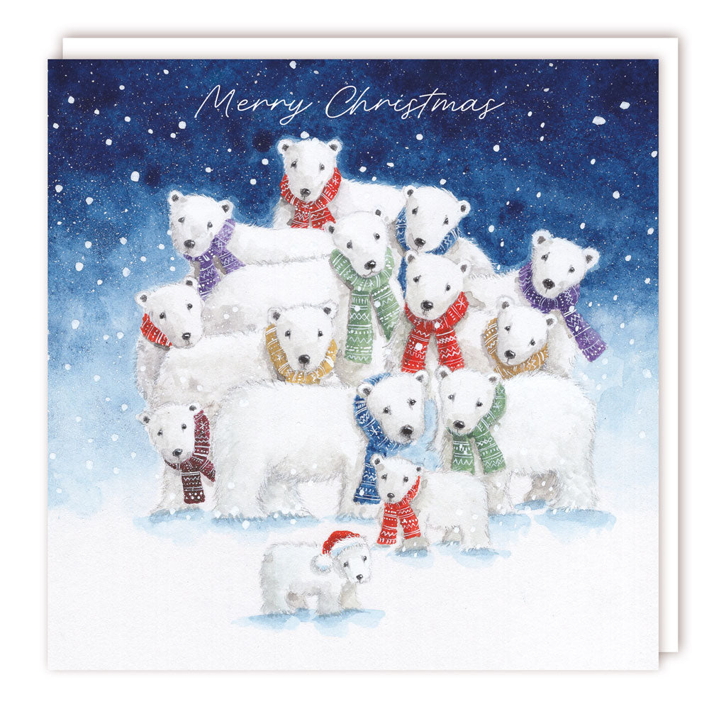 XBS060 Large Charity Box - 1 Design
