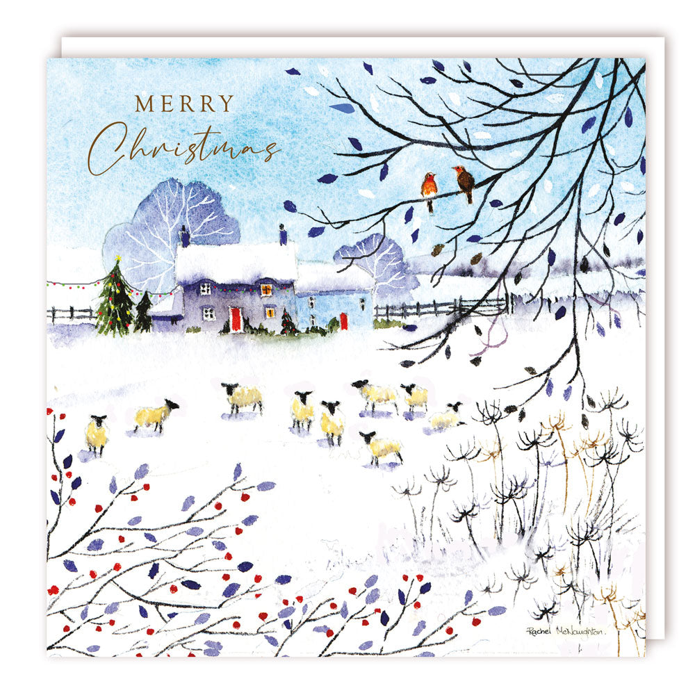 XBS061 Large Charity Box - 1 Design