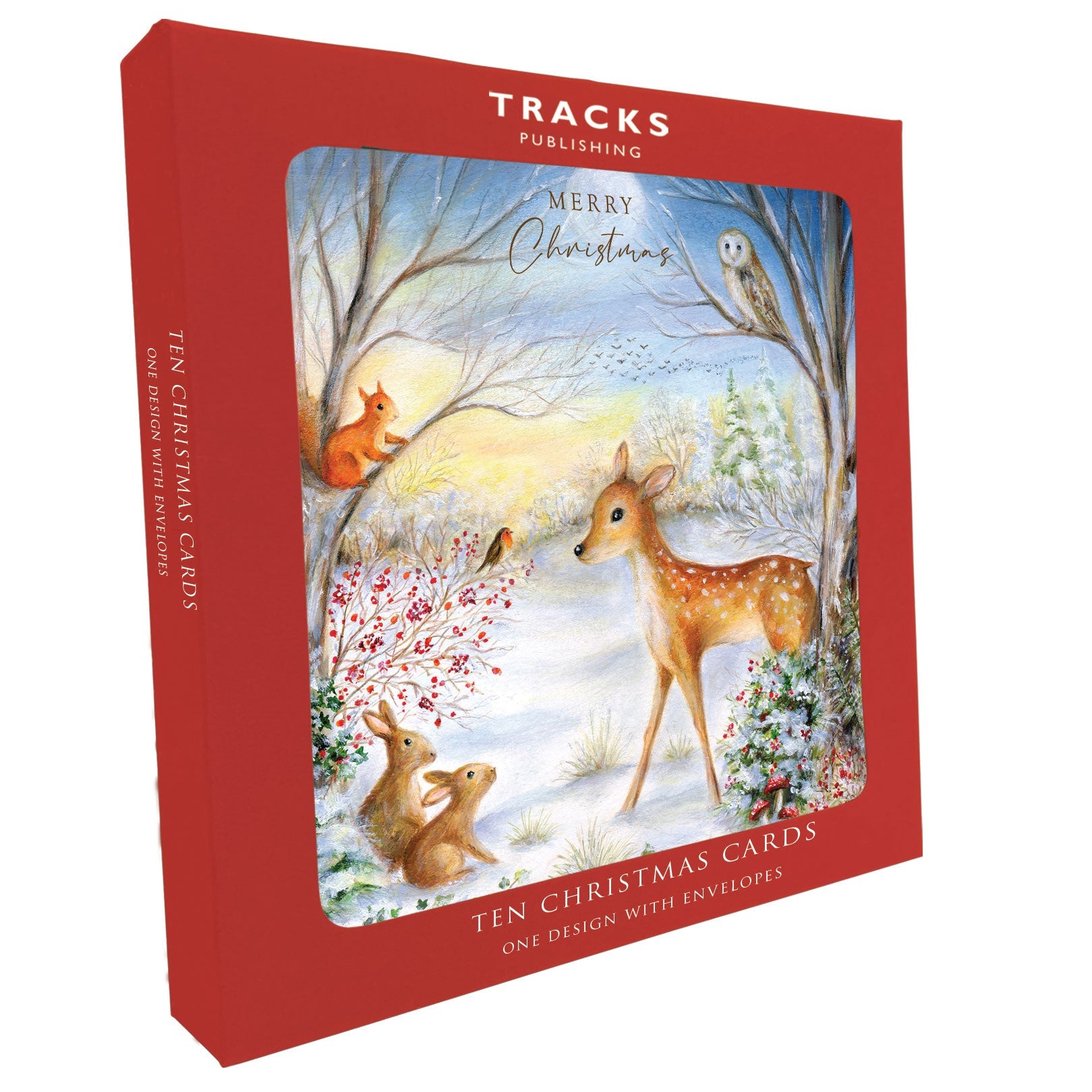 XBS062 Large Charity Box - 1 Design