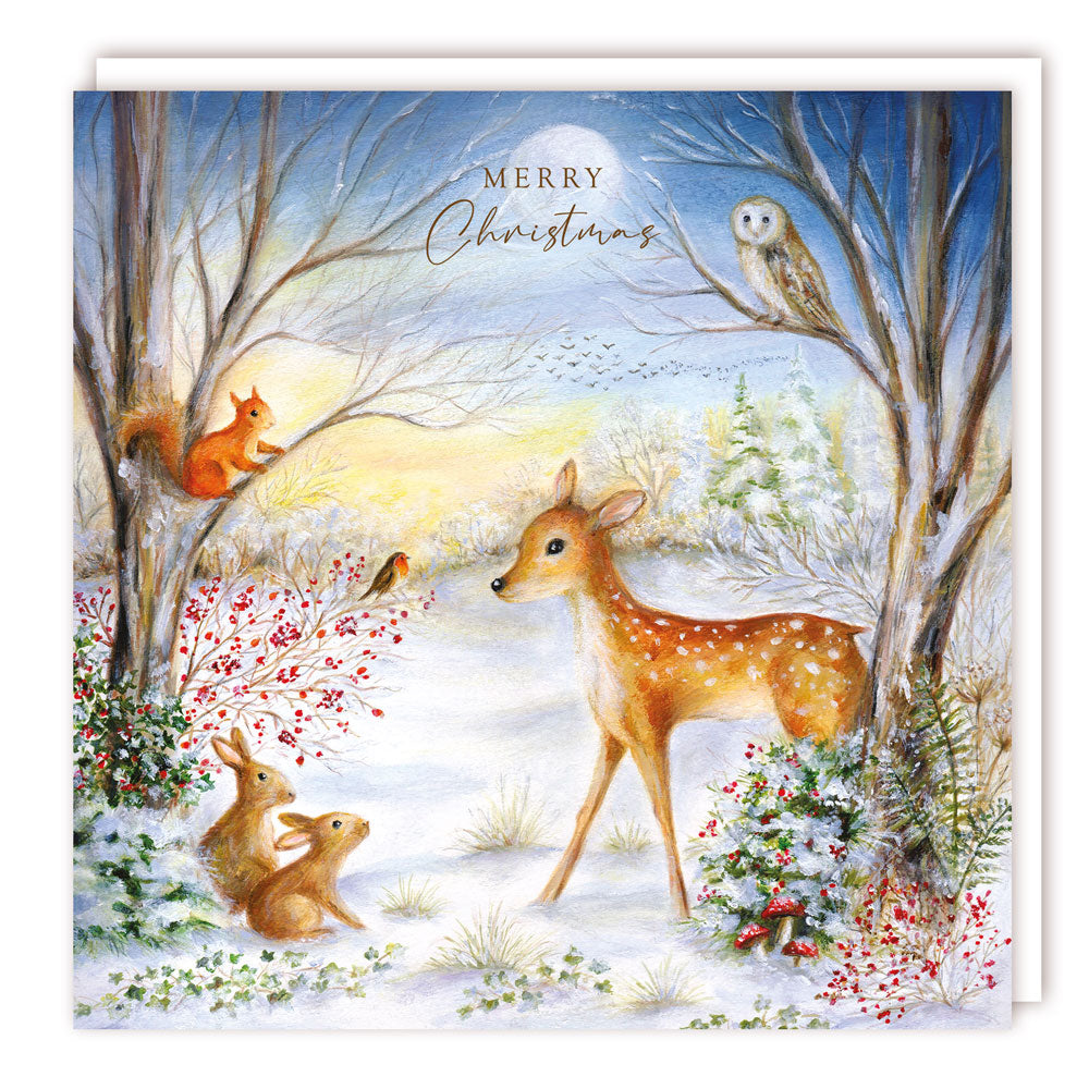 XBS062 Large Charity Box - 1 Design