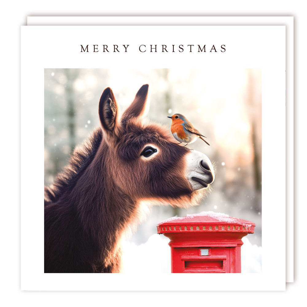 XBS065 Large Charity Box - 1 Design
