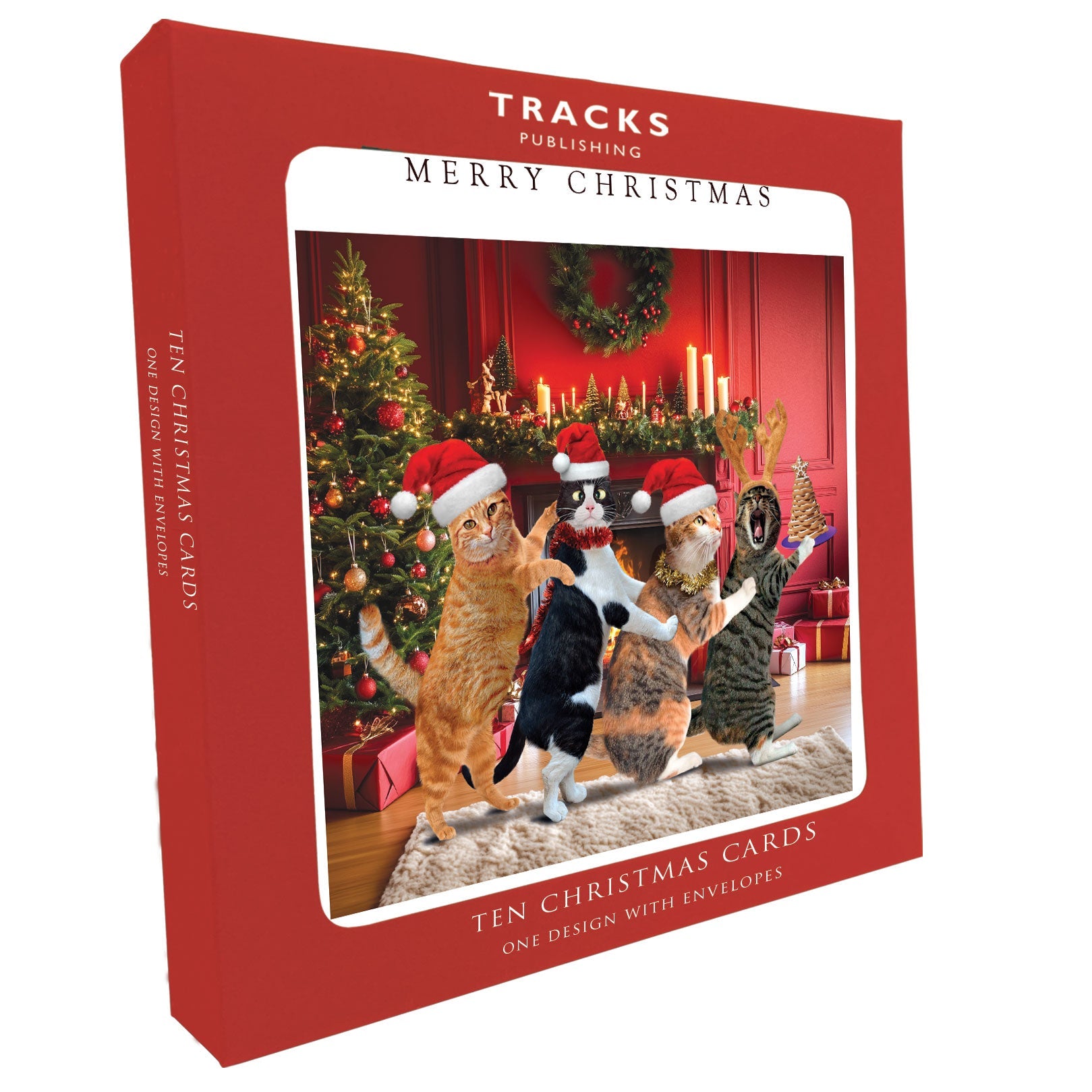 XBS066 Large Charity Box - 1 Design