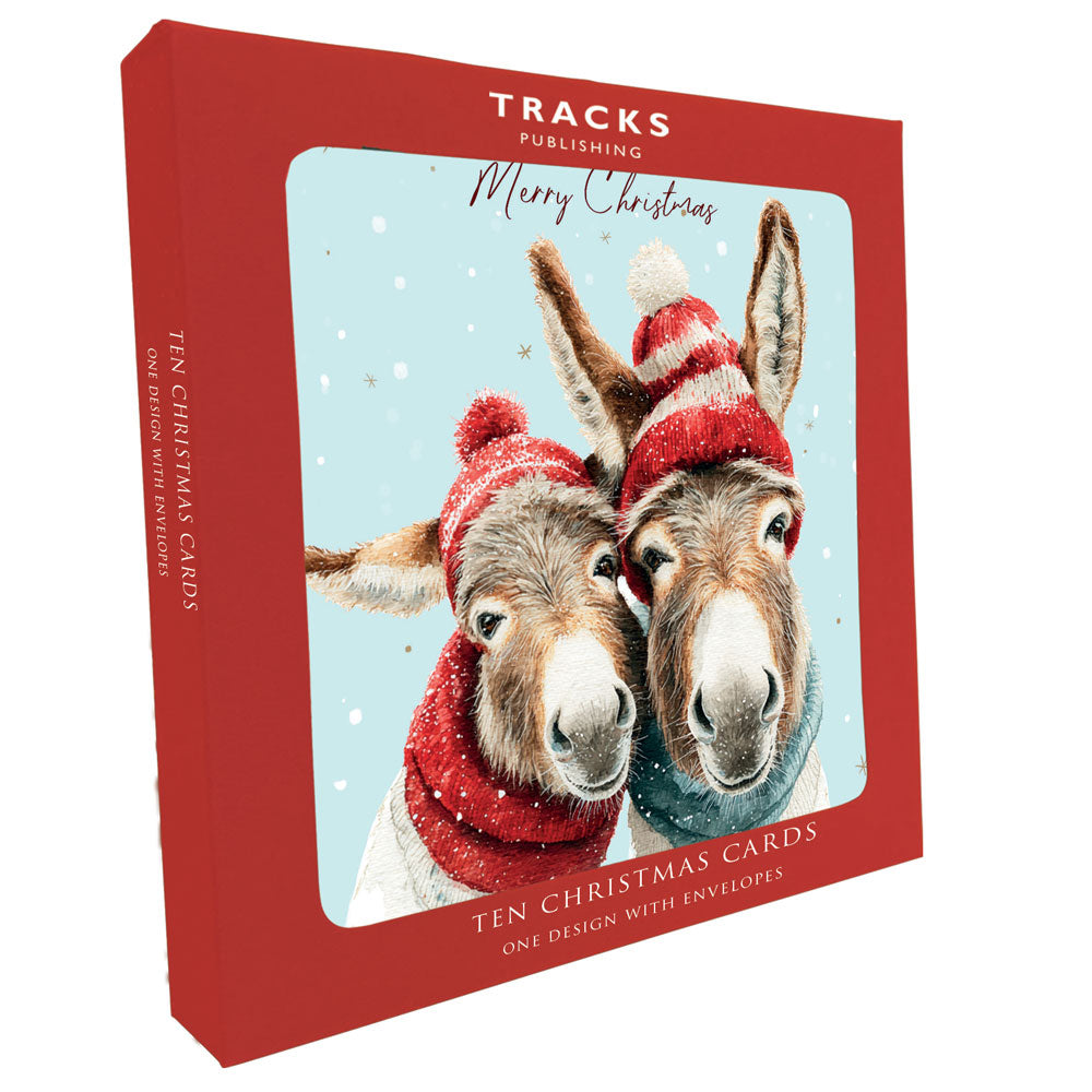 XBS069 Large Box - 1 Design